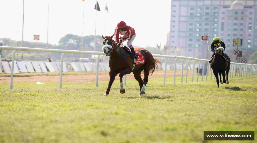 OD体育网址挑战自我，战胜困难